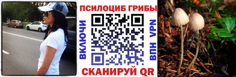 Псилоцибиновые грибы Psilocybine cubensis  Ермолино 